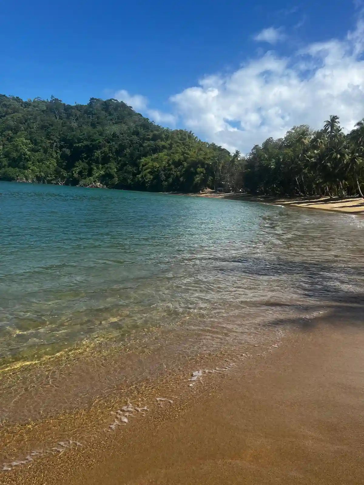 Tobago’s Best Beaches: Your Complete Guide