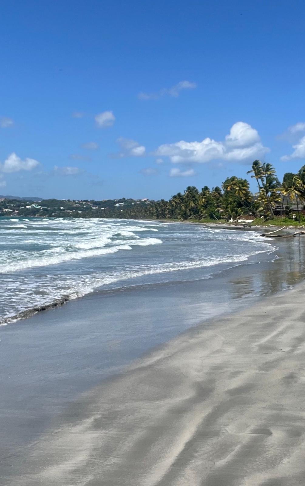 Lowlands beach